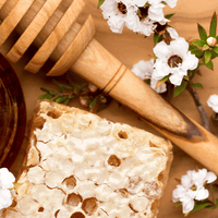 Die 9 Vorteile von Manuka Honig