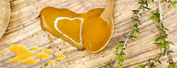 Ist Manuka Honig besser als normaler Honig? Ein vollständiger Leitfaden