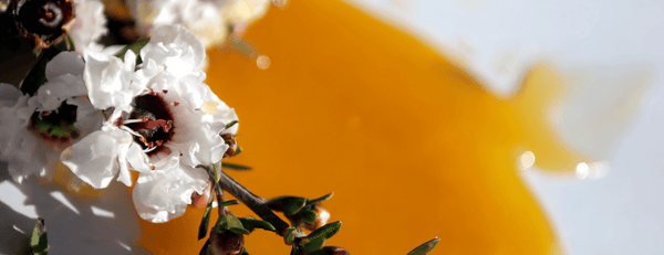 Was ist Manuka Honig