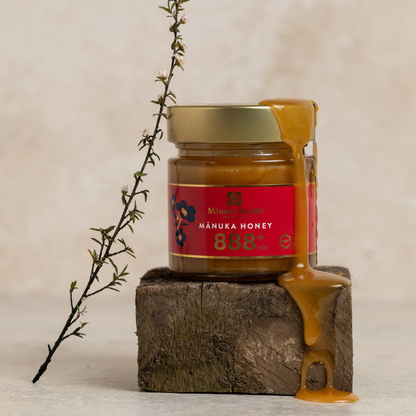 Manuka-Honig MGO 888+ (UMF 20+) - Limitierte Auflage